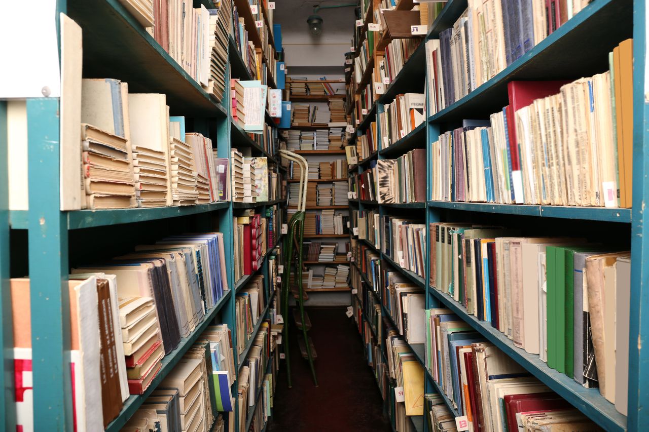 Rayonnages de bibliothèque garnis d'ouvrages